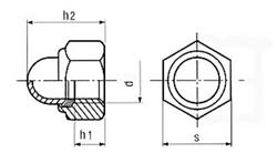 Prevailing torque type hexagonal dome nut, with plastic insert D986 Stainless st