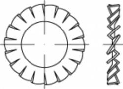  Serrated lock washer with external teeth D6798A Stainless steel A4