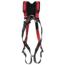 Edge harnas dynamic adventure Toronto