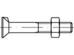 Flat countersunk rib bolt with hexagon nut D604/555 4.6 St Zinc plated