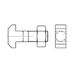 T-head bolt with hexagon nut