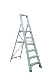 Industrial ladders single